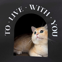 Nouvelle maison pour chat en papier kraft écologique de haute qualité confortable noire et brune lavable avec grattoir pour chat amovible