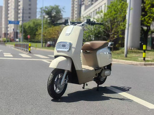 Y4-XKG Mini <span class=keywords><strong>moto</strong></span> électrique costume le plus vendu <span class=keywords><strong>800W</strong></span> longue portée <span class=keywords><strong>Cross</strong></span> 72v <span class=keywords><strong>moto</strong></span> électrique - Product Image 5