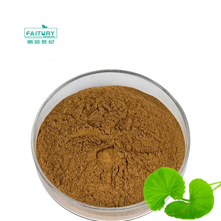 Oragnic centella asiatica extract powder Triterpenes Asiaticoside gotu kola extract centella asiatica extract Powder