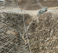 Grillage gabion galvanisé à chaud pour la protection des pentes, maille hexagonale