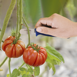 Couteau à cueillir les tomates / concombres 13,5 cm. - Product Image 5