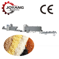 Ligne de production de machine extrudeuse de riz artificiel personnalisée à haute performance pour la fabrication de riz nutritionnel