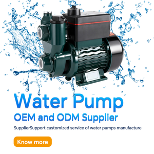 Pompe à eau potable intégrée automatique auto-amorçante 1HP 750W pour camping-car et camping, hauteur de levage 55m, hauteur d'<span class=keywords><strong>aspiration</strong></span> 8m - Product Image 1