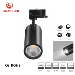 Luz de Riel LED COB de Aluminio con Certificación CE Rohs, 2/6 Hilos, RA80/Ra90/Ra97 CRI 95+, Regulable, 10-40W, Iluminación Puntual para Hoteles Modernos - Product Image 1