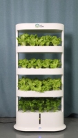 Nouveau style de tour hydroponique verticale d'intérieur à 4 couches système de culture domestique à effet de serre agricole simple vente en gros