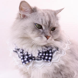 Groothandel Luxe Sweet Lace Cat Bibs Kraag Kleine Honden Bandana Stropdas Kitten Prinses Hond Kat Accessoires Pet Bandana Hond Sjaal - Product Image 6