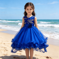 Robe en tulle bleu royal brodée or pour tout-petits, tenue de fête d'anniversaire pour bébé fille, robe de princesse pour enfant, robe de demoiselle d'honneur pour mariage