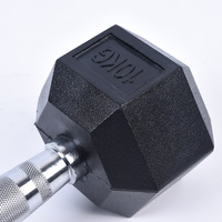 Mancuernas Hexagonales Recubiertas de Hierro Fundido Comerciales de 10 kg/15 kg/20 kg, Negras/Plateadas, Equipo de Gimnasio de Peso Libre para Ejercicio, Set de Fitness