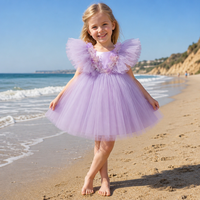Robe de Bal Princesse Broderie 3D pour Fille, Tenue de Soirée Anniversaire Bébé Fille, Collection Boutique de Vêtements pour Enfants