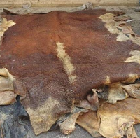 Kulit Sapi Asin Basahi yang Diawetkan dengan Garam, Tebal Seragam Dua Sisi 1.4-1.6mm, Bahan Kulit Sapi untuk Tas Tangan, Koper, dan Sepatu Berkualitas Tinggi