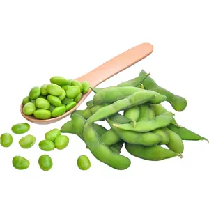 Nutrient-Packed Wholesome IQF Soya Beans Ideal For Healthy Meals Frozen Vegetables Frozen Soya Beans