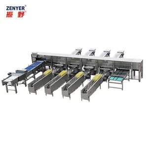 Chicken farm egg sorting packing equipment