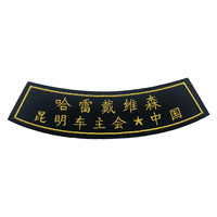 Patch brodé personnalisé grand format Harley Davidson à coudre ou thermocollant pour vestes, vêtements de motard et badges