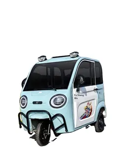 Hot Sale Fully Enclosed Passenger Carrying Electric Tricycle With Shed