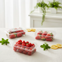 Chinese fabrikant op maat gemaakte 250g 500 aardbei-kersentomaat verpakking PET plastic clamshell doos fruitverpakking tray