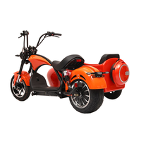 Scooter à trois roues Citycoco 2000W 60V 30AH avec batterie, 50 km/h, GPS, pliable, étanche, avec side-car pour chien