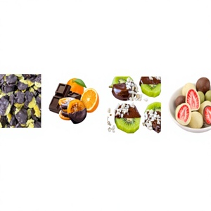 Rodajas de Kiwi, Naranja, Fresa y Maracuyá Recubiertas de Chocolate, Snack Tropical Dulce en Forma de Bola, Procesadas en Sirope - Product Image 1