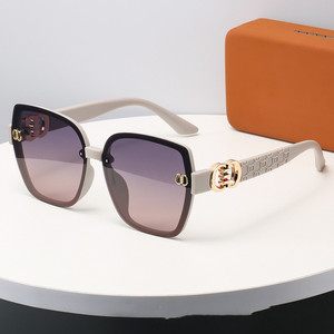 Lunettes <span class=keywords><strong>de</strong></span> <span class=keywords><strong>soleil</strong></span> <span class=keywords><strong>de</strong></span> luxe pour femmes, style vintage, nouvelle collection, grande monture, vente en gros 2026 - Product Image 2