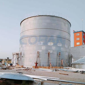 Silos di Stoccaggio per Cereali da 100-10000 Tonnellate, Contenitori in Acciaio per Mais, Riso, Grano e Materie Prime, per Mulini di Farina - Product Image 6