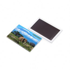 Recuerdos de Refrigerador, Imanes de Nevera con Diseño Personalizado de Países Africanos, Tanzania - Product Image 3