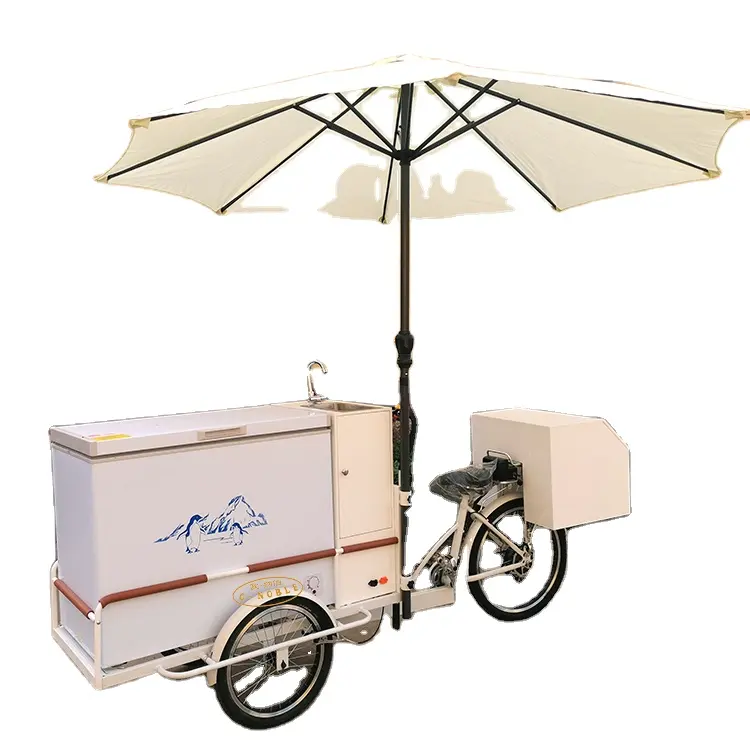 Mini vélo de glace Mobile, camion pour aliments, chariot de distribution, vente en gros