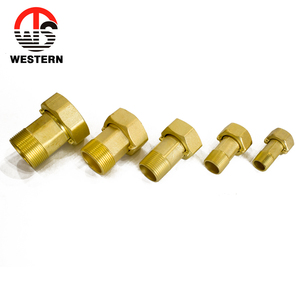 Raccords à vis en laiton pour compteur d'<span class=keywords><strong>eau</strong></span>, 1/2 pouce, laiton avec diamètre hexagonal de 20 <span class=keywords><strong>mm</strong></span>, filetage mâle, <span class=keywords><strong>raccord</strong></span> de compteur d'<span class=keywords><strong>eau</strong></span> - Product Image 3