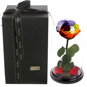 Rosa clásica Flor de la eternidad Las mismas rosas reales frescas conservadas en cúpula de cristal como La Bella y La Bestia Rosa en cristal con caja de regalo - Product Image 6