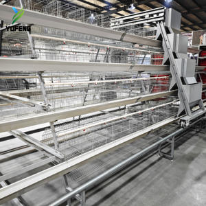 Cage à poulets de type A pour <span class=keywords><strong>poules</strong></span> pondeuses avec mangeoire en <span class=keywords><strong>PVC</strong></span> et <span class=keywords><strong>tuyau</strong></span> d'eau, résistante à la pression et à la chaleur - Product Image 5