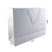 Custom High Quality Luxury White Paperboard Hand Length Flexo Printed Recyclable Film Laminated Shopping Bags for Clothing