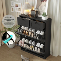 Armoire à chaussures moderne Design simple Design inclinable Rangement à chaussures avec deux tiroirs Noir pour l'entrée