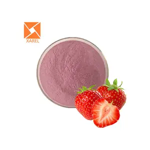 Fruit Powder Manufacturers Wholesale Bulk Organic Strawberry Juice Powder