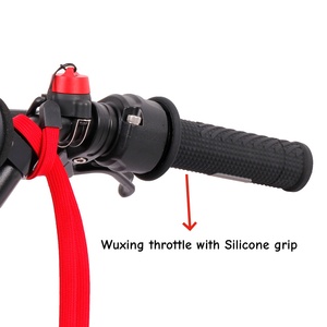 <span class=keywords><strong>Bicicleta</strong></span> Eléctrica Plegable con Motor Trasero de 1000W, Scooter Todoterreno, Motocicleta Eléctrica, Triciclo - Product Image 6