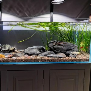 Set di Decorazioni <span class=keywords><strong>in</strong></span> Ardesia Naturale per <span class=keywords><strong>Acquario</strong></span>, Kit di Pietre e <span class=keywords><strong>Sabbia</strong></span> per Paesaggistica di Acquari e Terrari - Product Image 4