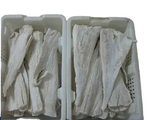 Highly Nutritious Salted Pacific Cod Fillet Preserved Frozen Fish in Bulk IQF Bag Packaging-Popular High Selling P-Cod Fillet