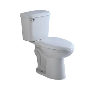 Bathroom Sanitary Ware The Chinese WC Toilet