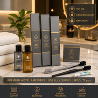 Kit d'articles de toilette jetables en plastique tendance pour hôtels, vente en gros, pour couples en lune de miel, logo personnalisé OEM ODM