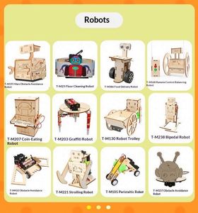 Kit de Experimentos Científicos de Madera STEM para Educación Científica, Modelo de Física DIY para Niños, Venta al Por Mayor - Product Image 6