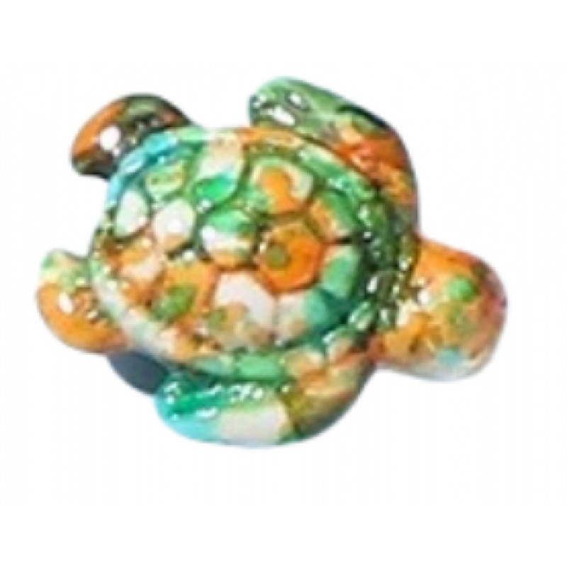 Couleur tortue turquoise 2
