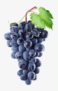 أفضل سعر ، سعر ، من 27-1 opc oligomeric procyanidins - Product Image 2