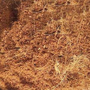 [2023] - Product Image 4