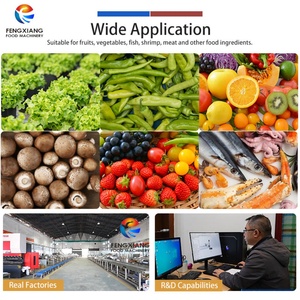 Laveur à ultrasons à ozone et à bulles pour légumes et fruits en acier inoxydable à double cuve avec paniers - Product Image 6