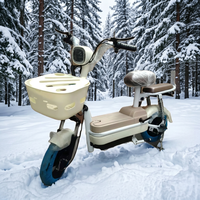 Vélo Électrique Compact 350W 48V 12Ah pour la Ville, Vitesse 35km/h, Roues 14 Pouces, avec Panier et Alarme - Vente en Gros