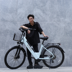Bicicleta Eléctrica Urbana CS20 para Adultos con Motor sin Escobillas, Batería de Litio, Almacén en la UE, Bicicleta Eléctrica de Equilibrio de 27.5 Pulgadas - Product Image 2