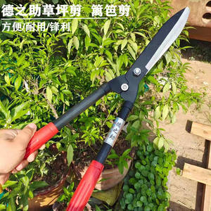 Cisailles à haies Tokunosuke, lame en acier à haute teneur en carbone de 45-60 cm, pour la taille des jeunes arbres fruitiers et des jardins - Product Image 4