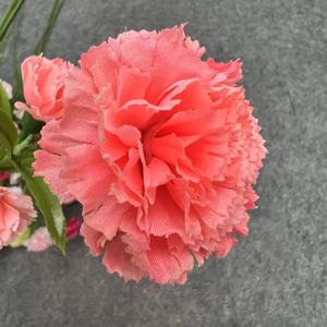 Flores <span class=keywords><strong>de</strong></span> Clavel Artificiales <span class=keywords><strong>de</strong></span> Seda al por Mayor <span class=keywords><strong>de</strong></span> Fábrica Y-H080, Ramas Largas <span class=keywords><strong>de</strong></span> 5 Ramas, Claveros Artificiales para Decoración del Hogar y Bodas - Product Image 6