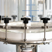 Bioréacteur chimique de laboratoire en verre à double enveloppe avec agitateur, 100L, pour cristallisation, filtre et réacteur en verre avec réservoir de agitation chimique continu
