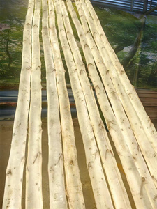 1m 2M 2025 New Arrival <span class=keywords><strong>LED</strong></span> phát sáng cây bạch dương ánh sáng sợi thủy tinh <span class=keywords><strong>LED</strong></span> cây bạch dương ánh sáng cho giáng sinh kỳ nghỉ chiếu sáng trang trí - Product Image 5