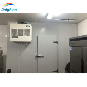 Unidad de Refrigeración de Pared Monobloque de Alta Calidad de <span class=keywords><strong>2</strong></span>/3 HP con Condensación, Refrigeración Automática con Bomba, Motor y Componentes Centrales - Product Image 5