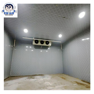 Installation de stockage frigorifique industrielle pour le bœuf, la volaille et les produits surgelés dans les centres logistiques canadiens - Product Image 3