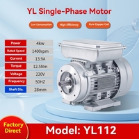 Moteur à induction monophasé à double condensateur série YL haute efficacité 4KW 5.5HP 2 pôles 220V 50Hz 60Hz 2850 tr/min pour souffleur